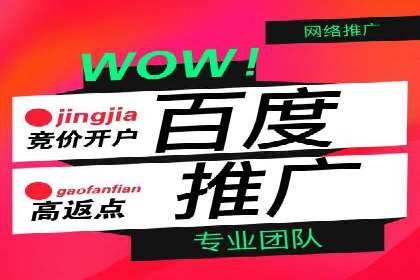 抖音信息流广告代理的五大成功投放案例